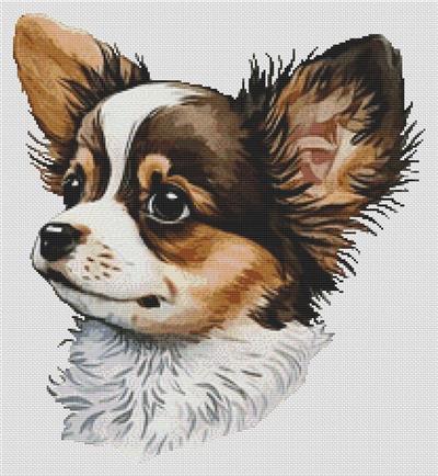 (image for) Longhaired Chihuahua Portrait